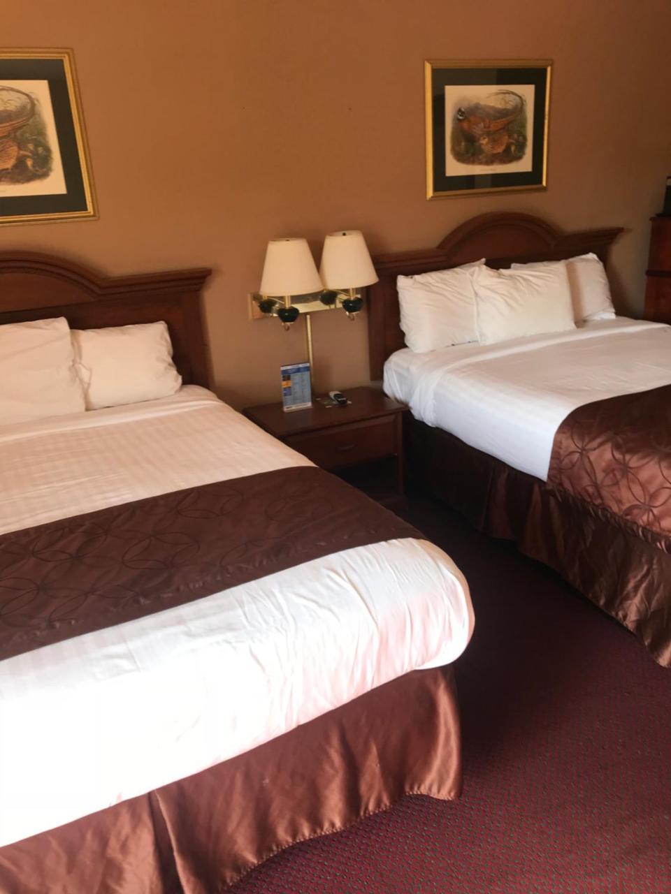 温泉城三叶草汽车旅馆 外观 照片